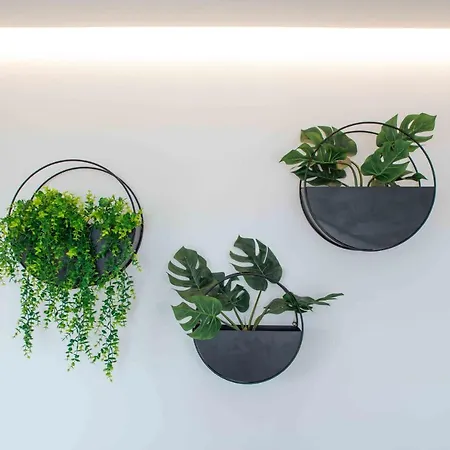 דירה Into The Blue