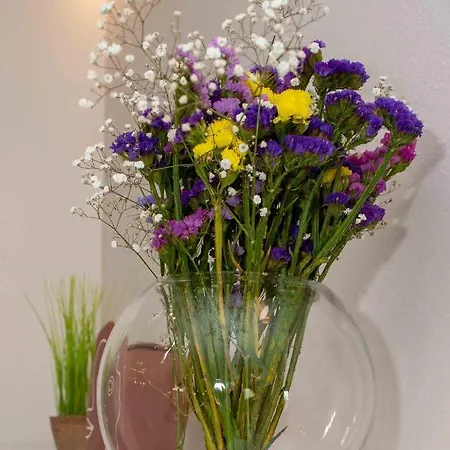 דירה Into The Blue קוסטרנה